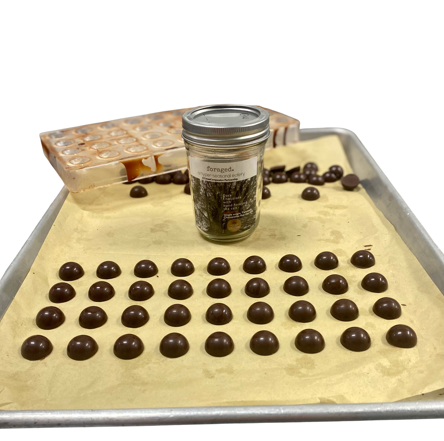 Foraged Bites: Dark Chocolate with sea salt, 70% cacao