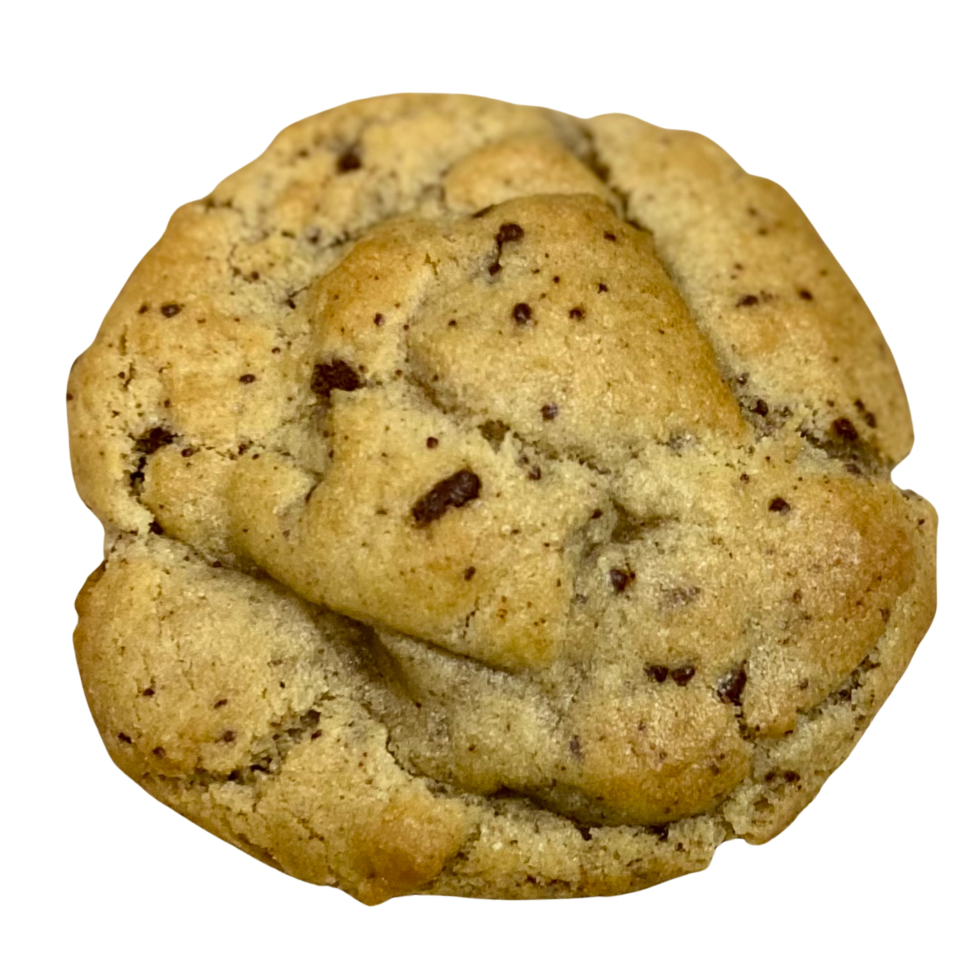 Touch of Spice CompassionCookie 4-Pack