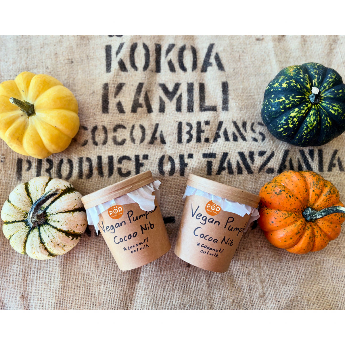 Blue Pig x The Pod — Vegan Pumpkin Ice Cream with Tanzanian Cacao Nibs