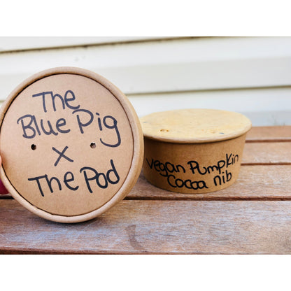 Blue Pig x The Pod — Vegan Pumpkin Ice Cream with Tanzanian Cacao Nibs
